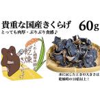 野菜類 きのこ きくらげ60g 20g×3パック