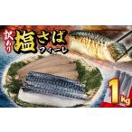 ショッピングふるさと納税 訳あり 不揃い ふるさと納税 旬の鮮魚等 千葉県 銚子市 訳あり 塩サバフィーレ 約1kg ノルウェー産 冷凍 サハ゛ 鯖 塩サバ 塩鯖 海鮮 魚 大容量 規格外 不揃い 青魚 おかず …