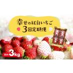 ふるさと納税 いちご 愛知県 豊橋市 幸せの紅白いちご 定期便 3回 計3kg (1回あたり約250g×4パック)