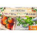 体験チケット 招待券 いちご狩り ハーブ摘み体験ができるシ…