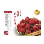 ふるさと納税 いちご 福岡県 福岡市 いちごの王様 福岡名産あまおう 約270g×4パック 計約1,080g 2026年2月以降発送