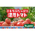 野菜類 トマト D325 山口秋穂トマト 浜青江とまと農園