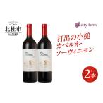 ふるさと納税 ワイン 赤ワイン 山梨県 北杜市 打出の小槌 カベルネ・ソーヴィニヨン 2022 2本 ワイン 赤ワイン カベルネ・ソーヴィニヨン 2022 750ml 2本 数…