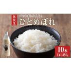 ふるさと納税 米 ひと�
