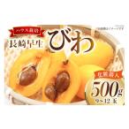 びわ さくらんぼ BI209 令和9年度出荷分
