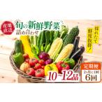 セット 詰合せ 6回定期便 2ヵ月に1回 旬の新鮮
