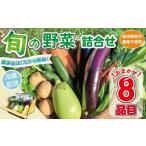 セット 詰合せ 野菜セット 8品目 旬 季節 南知多産
