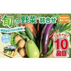 セット 詰合せ 野菜セット 10品目 旬 季節