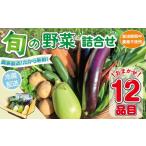 セット 詰合せ 野菜セット 12品目 旬 季節