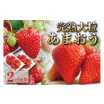 完熟 大粒 あまおう イチゴ 280g×2パック