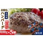 佐賀牛ハンバーグ 100g×5個