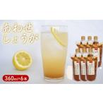 飴 あめ 濃縮 生姜 シロップ パウチ 6パック