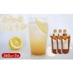 濃縮 生姜 シロップ パウチ 3パック セット