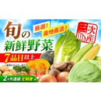 セット 詰合せ 全2回定期便 野菜 厳選 農夫のお野菜セット