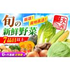セット 詰合せ 全6回定期便 野菜 厳選 農夫のお野菜セット