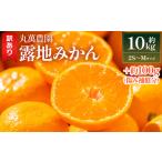 ふるさと納税 果物類 みかん 高知県 香南市 2025年出荷分 訳あり みかん 10kg 小玉(2S〜Mサイズ) 家庭用 丸萬農園 - 果物 くだもの フルーツ 果実 柑橘 かん…