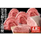黒毛和牛 毎月 お届け 定期便 合計4.8kg