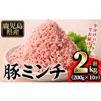 豚肉 豚ミンチ10袋詰合せ 計2kg