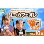 コーヒー 飲料 酪王 カフェオレ お試し セット 200ml×10本