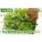 fu.... налог комплект *... Kyoto (столичный округ) черепаха холм город овощи набор leaf lettuce салат 7 вид Kyoto Tanba производство свежий .. лист предмет овощи комплект маленький остров сельское хозяйство .{ пестициды не использование столица овощи черепаха...