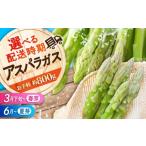 fu.... налог овощи вид спаржа Hiroshima префектура три следующий город предшествующий предварительный заказ спаржа лето .( примерно 800g) 6 месяц сверху . примерно из последовательный отправка утро .. лето . спаржа .. длина aspa...