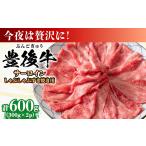 牛肉 サーロイン 厳選部位 おおいた豊後牛