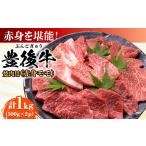 牛肉 モモ おおいた豊後牛 赤身モモ 焼肉用 1kg