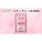 健康食品 コラーゲン 1袋
