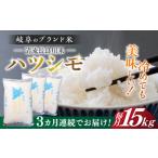 米 3回定期便 R7年産 岐阜 ハツシモ 15kg