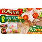 鶏肉 モモ 3回定期便 朝挽き 清流美どり バラエティ5点セッ…