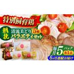 鶏肉 モモ 6回定期便 朝挽き 清流美どり バラエティ5点セッ…