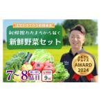 野菜類 定期便 全9回 新鮮野菜セット 旬野菜