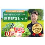 セット 詰合せ 定期便 全11回 新鮮野菜セット