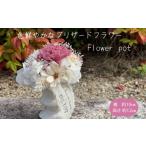 花 苗木 ドライフラワーポット ピンク 母の日に