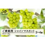 ふるさと納税 ぶどう マスカット 山形県 山辺町 令和七年産 ぶどう シャインマスカット ふるさと納税 先行予約 ぶどう シャインマスカット 3〜4房セット ご家…