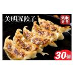 ふるさと納税 肉 茨城県 行方市 2025年8月下旬より順次発送 数量限定 美明豚「びめいとん」のジューシー餃子 1パック(30個入り)|餃子 ぎょうざ ギョウザ 美…