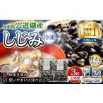 魚貝類 しじみ 全3回定期便 超希少 特大粒プレミアムサイズ