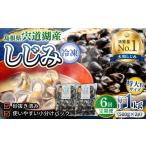 魚貝類 しじみ 全6回定期便 超希少 特大粒プレミアムサイズ