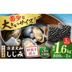 魚貝類 しじみ 全3回定期便 宍道湖産 冷凍大和しじみ