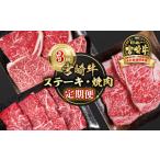 牛肉 焼肉 バーベキュー 定期便 宮崎牛 ステーキ