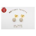 アクセサリー ピアス 輪島でうまれた うるしのピアス