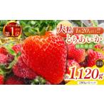ふるさと納税 いちご 栃木県 矢板市 大粒とちあいか280g×4パック朝摘み新鮮｜いちご イチゴ 苺 フルーツ 果物 産地直送 とちあいか 矢板市産 栃木県産 関農園…