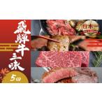 牛肉 セット 定期便 飛騨牛三昧 5回 5ヶ月