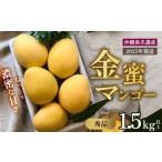 ふるさと納税 マンゴー 沖縄県 名護市 2025年 先行予約 数量限定 マンゴー好きに食べてもらいたい 金蜜マンゴー 秀品1.5kg以上 秀品 先行予約 沖縄 甘味 糖度…