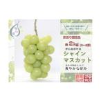 ショッピングふるさと納税 シャインマスカット ふるさと納税 ぶどう マスカット 広島県 神石高原町  令和8年発送分 ／ 先行予約 訳ありシャインマスカット　約2.0kg　神石高原町産〈ご家庭用〉 みずもとや（…