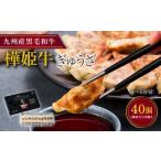 ふるさと納税 餃子 熊本県 宇城市 樺姫牛 ぎゅうざ 40個入 餃子 黒毛和牛 牛肉 肉 国産 おかず