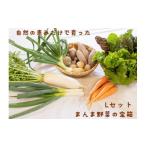 fu.... налог комплект *... Tokushima префектура Ishii блок 016-003... овощи. Treasure Box комплект L