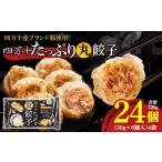 ふるさと納税 餃子 高知県 四万十町 四万十産ブランド豚使用 四万十たっぷり丸餃子 4袋（30g×6個入)合計720g ／Qak-43 餃子 丸餃子 冷凍餃子 生餃子 冷凍生餃…