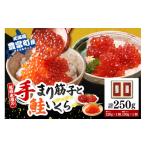 ふるさと納税 魚貝類 鮭 北海道 豊