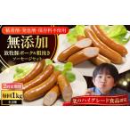 肉 ソーセージ 全2回定期便 結着剤 発色剤